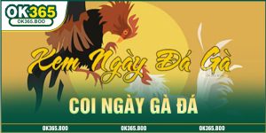 coi-ngay-da-ga-