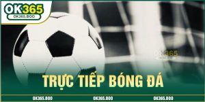 truc-tiep-bong-da-hom-nay